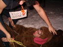 Faili nimi=Picture_091.jpg
Faili maht=124KiB
Mõõdud=640x480
Lisamiskuupäev=apr 10, 2023 Picture_091.jpg