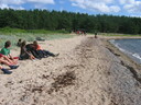 Faili nimi=Picture_343.jpg
Faili maht=327KiB
Mõõdud=1024x768
Lisamiskuupäev=apr 10, 2023 Picture_343.jpg