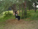 Faili nimi=DSC02357.JPG
Faili maht=150KiB
Mõõdud=640x480
Lisamiskuupäev=apr 10, 2023 DSC02357.JPG