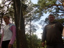Faili nimi=STA42176.JPG
Faili maht=357KiB
Mõõdud=1024x768
Lisamiskuupäev=apr 10, 2023 STA42176.JPG