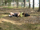 Faili nimi=IMG_1555.jpg
Faili maht=2246KiB
Mõõdud=2592x1944
Lisamiskuupäev=apr 10, 2023 IMG_1555.jpg